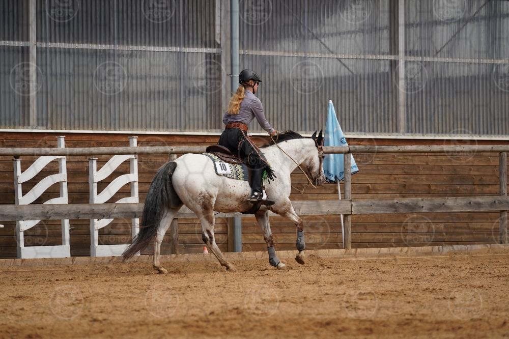 s_A9_04433.jpg